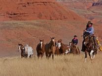 Cowboys Herding Horses in the Big Horn Mountains, Shell, Wyoming, USA-Joe Restuccia III-Photographic Print