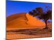 Photographic Print