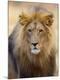 Premium Photographic Print