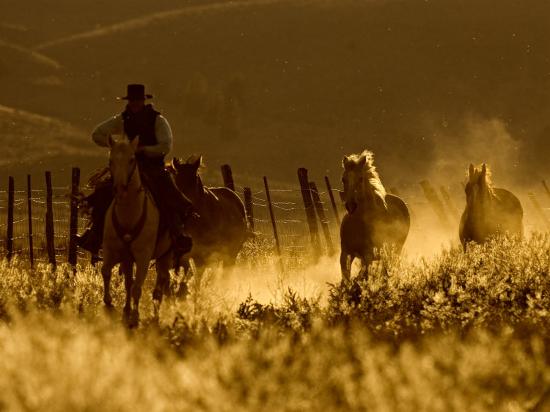 'Ranch Living at The Ponderosa Ranch, Seneca, Oregon, USA' Photographic ...
