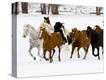 Stretched Canvas Print