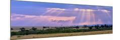 Photographic Print