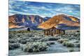 Premium Photographic Print
