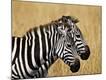 Premium Photographic Print