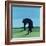 Joe's Black Dog, 1996-Marjorie Weiss-Framed Giclee Print