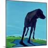 Joe's Black Dog (New View), 2000-Marjorie Weiss-Mounted Giclee Print