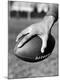 Premium Photographic Print