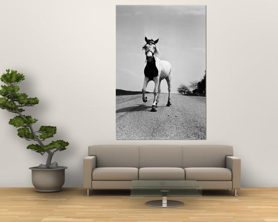 Giant Art Print, , large