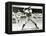 Joe Tinker of the Chicago Cubs in Action During 1906-null-Framed Premier Image Canvas