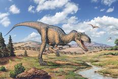 Allosaurus Dinosaur-Joe Tucciarone-Photographic Print