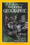 Cover of the March, 1995 National Geographic Magazine-Joel Sartore-Framed Premier Image Canvas