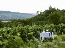 Table with Champagne Glasses in Vineyard in Champagne-Joerg Lehmann-Photographic Print