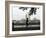 Joggers, Central Park, Manhattan, New York City, New York, United States of America, North America-Amanda Hall-Framed Photographic Print