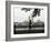 Joggers, Central Park, Manhattan, New York City, New York, United States of America, North America-Amanda Hall-Framed Photographic Print