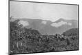 Photographic Print