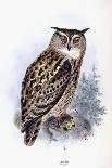 Dichocerus Bicornis, 1876-1882-Johan Gerard Keulemans-Giclee Print