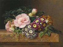 Bouquet of Pink Camellias and Primula on Marble Ledge-Johan Laurentz Jensen-Framed Giclee Print