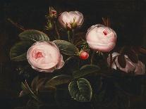 Roses in a Basket Beside a Rose Bush, 1846-Johan Laurentz Jensen-Framed Giclee Print