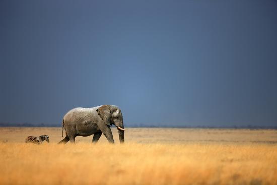 Photographic Print, , large