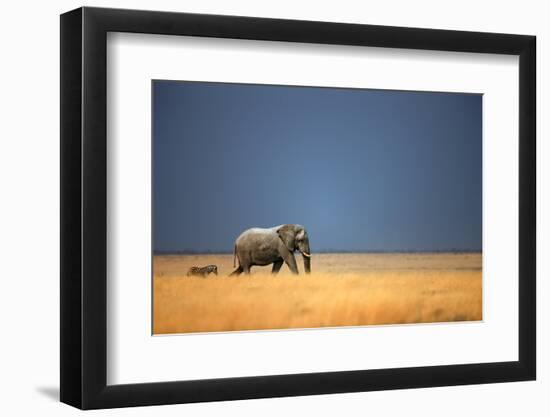 Photographic Print, , large