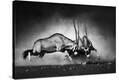 Stretched Canvas Print
