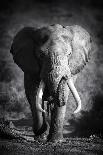 Baby Elephant Seeking Comfort against Mother's Leg - Etosha National Park-Johan Swanepoel-Framed Photographic Print