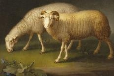 A Ram and a Sheep-Johan Wenzel Peter-Framed Giclee Print