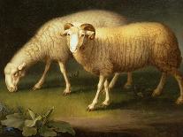 A Ram and Sheep-Johan Wenzel Peter-Framed Giclee Print