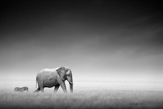 Photographic Print, , large