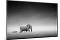 Photographic Print