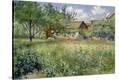 Stretched Canvas Print