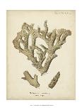 Natura Coral II-Johann Esper-Art Print