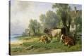 Stretched Canvas Print