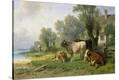 Stretched Canvas Print