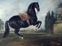 The Bay Horse' Sincero'-Johann Georg Hamilton-Giclee Print