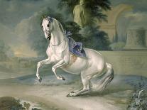 The Bay Horse' Sincero'-Johann Georg Hamilton-Giclee Print
