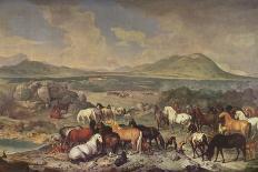 The Black Horse 'Curioso' Performing a Capriole-Johann Georg Hamilton-Giclee Print