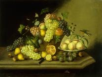 A Still Life with a Basket of Grapes and Mixed Fruit on a Stone Ledge-Johann Georg Seitz-Framed Premier Image Canvas