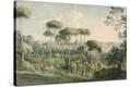 Stretched Canvas Print