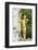 Johann Strauss Monument, Vienna, Austria-Jim Engelbrecht-Framed Photographic Print