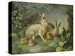 Stretched Canvas Print