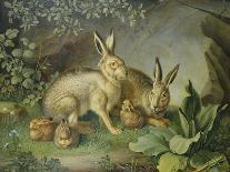 Hares and Leverets in a Rocky Lair-Johann Wenzel Peter-Giclee Print