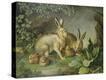 Stretched Canvas Print