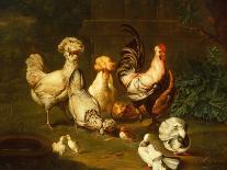 Poultry in a Landscape-Johann Wenzel Peter-Giclee Print