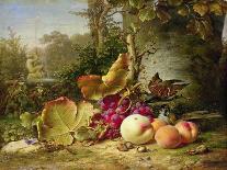 Fruit and Sparrows, 1863-Johann Wilhelm Preyer-Framed Giclee Print