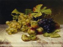 Fruit Still Life, with White and Blue Grapes on a Marble Table, 1834-Johann Wilhelm Preyer-Giclee Print