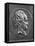Johann Wolfgang Von Goethe, 1829 (Bronze)-Pierre Jean David d'Angers-Framed Premier Image Canvas