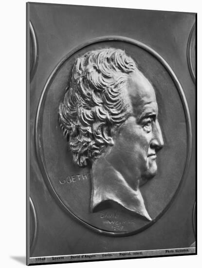 Johann Wolfgang Von Goethe, 1829 (Bronze)-Pierre Jean David d'Angers-Mounted Giclee Print