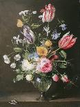 Flowers in a Glass Vase, 1663-Johannes Antonius van der Baren-Premier Image Canvas