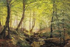 A Forest Glade-Johannes Boesen-Premier Image Canvas